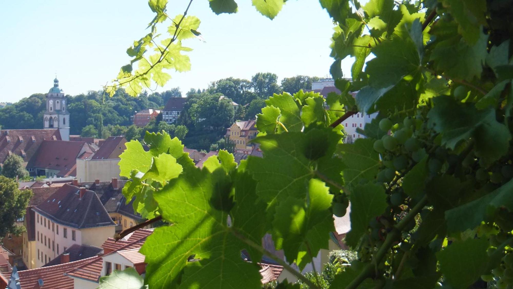 Hotel Schlossberg Meissen Exterior photo